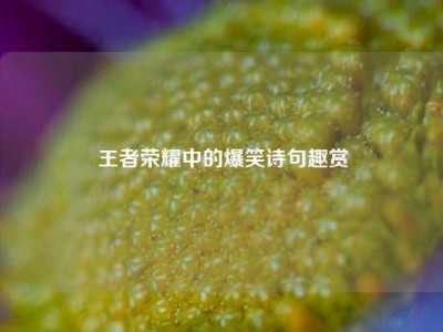 王者荣耀中的爆笑诗句趣赏