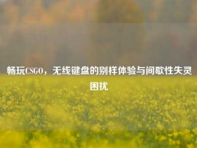 畅玩CSGO，无线键盘的别样体验与间歇性失灵困扰