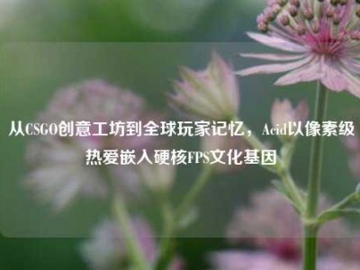 从CSGO创意工坊到全球玩家记忆，Acid以像素级热爱嵌入硬核FPS文化基因