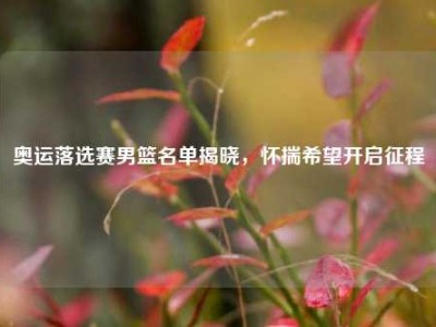 奥运落选赛男篮名单揭晓，怀揣希望开启征程