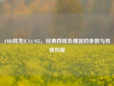 AMD羿龙II X4 955，经典四核处理器的参数与传奇历程