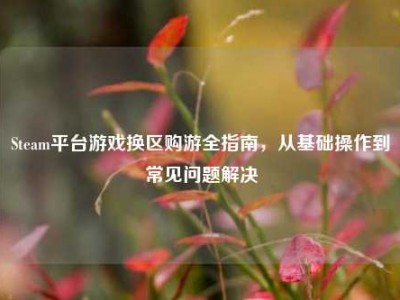 Steam平台游戏换区购游全指南，从基础操作到常见问题解决