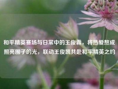 和平精英赛场与日常中的王俊霖，将热爱熬成照亮圈子的光，联动王俊凯共赴和平精英之约