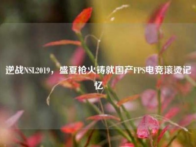 逆战NSL2019，盛夏枪火铸就国产FPS电竞滚烫记忆