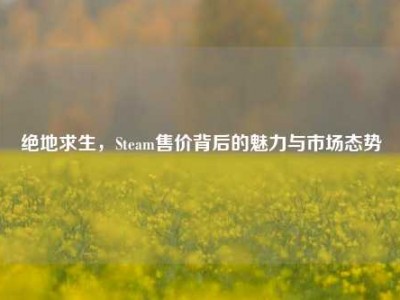 绝地求生，Steam售价背后的魅力与市场态势