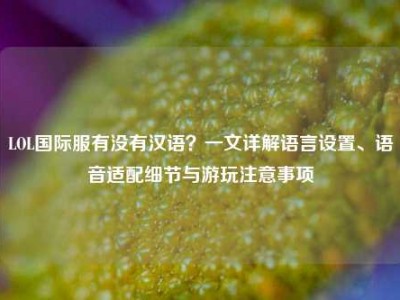 LOL国际服有没有汉语？一文详解语言设置、语音适配细节与游玩注意事项