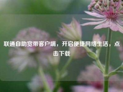 联通自助宽带客户端，开启便捷网络生活，点击下载