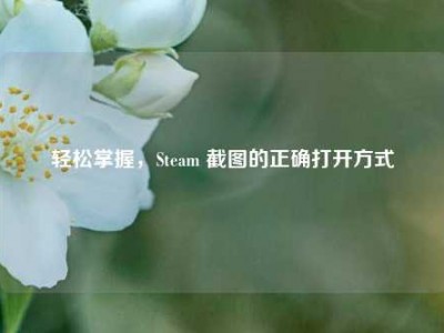 轻松掌握，Steam 截图的正确打开方式