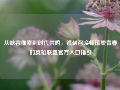 从峡谷像素到时代共鸣，镌刻召唤师滚烫青春的英雄联盟官方入口指引