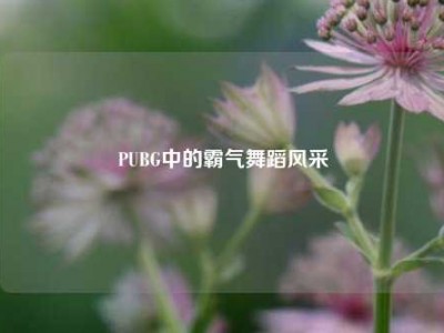PUBG中的霸气舞蹈风采