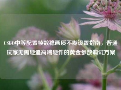 CSGO中等配置帧数稳画质不糊设置指南，普通玩家无需硬追高端硬件的黄金参数调试方案