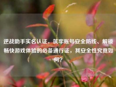 逆战助手实名认证，筑牢账号安全防线、解锁畅快游戏体验的必备通行证，其安全性究竟如何？