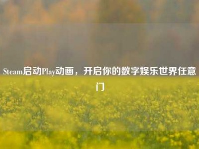 Steam启动Play动画，开启你的数字娱乐世界任意门