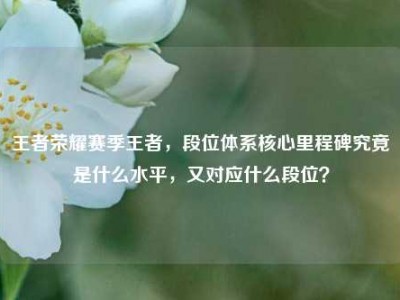 王者荣耀赛季王者，段位体系核心里程碑究竟是什么水平，又对应什么段位？