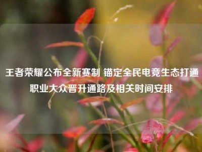 王者荣耀公布全新赛制 锚定全民电竞生态打通职业大众晋升通路及相关时间安排