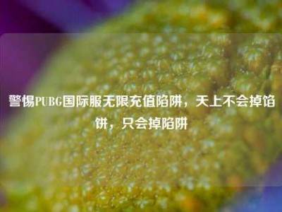 警惕PUBG国际服无限充值陷阱，天上不会掉馅饼，只会掉陷阱