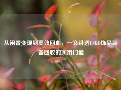 从闲置变现到高效回血，一文讲透CSGO饰品装备回收的实用门道