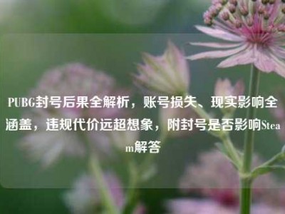 PUBG封号后果全解析，账号损失、现实影响全涵盖，违规代价远超想象，附封号是否影响Steam解答