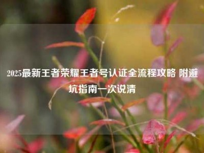 2025最新王者荣耀王者号认证全流程攻略 附避坑指南一次说清