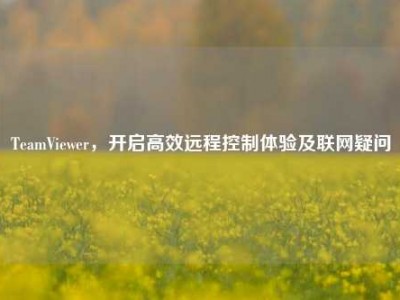 TeamViewer，开启高效远程控制体验及联网疑问