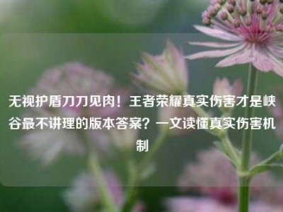 无视护盾刀刀见肉！王者荣耀真实伤害才是峡谷最不讲理的版本答案？一文读懂真实伤害机制