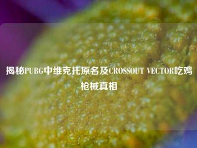 揭秘PUBG中维克托原名及CROSSOUT VECTOR吃鸡枪械真相