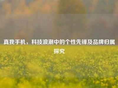 真我手机，科技浪潮中的个性先锋及品牌归属探究