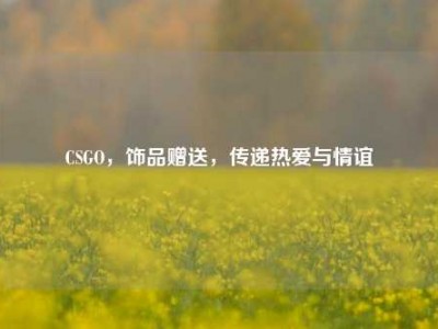 CSGO，饰品赠送，传递热爱与情谊