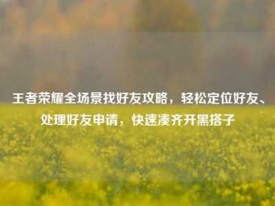 王者荣耀全场景找好友攻略，轻松定位好友、处理好友申请，快速凑齐开黑搭子