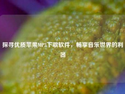 探寻优质苹果MP3下歌软件，畅享音乐世界的利器