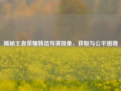 揭秘王者荣耀韩信导演现象，获取与公平困境