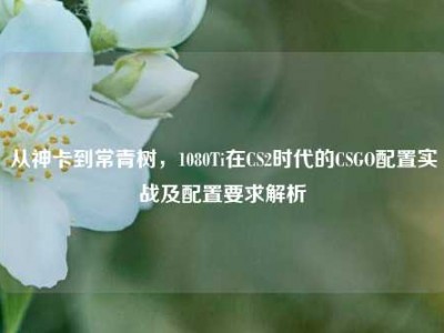 从神卡到常青树，1080Ti在CS2时代的CSGO配置实战及配置要求解析