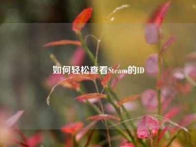 如何轻松查看Steam的ID