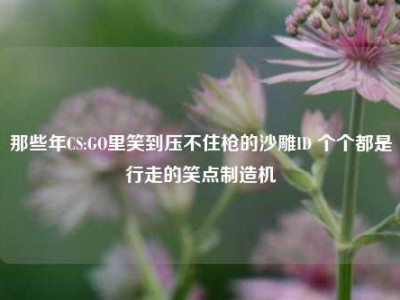 那些年CS:GO里笑到压不住枪的沙雕ID 个个都是行走的笑点制造机