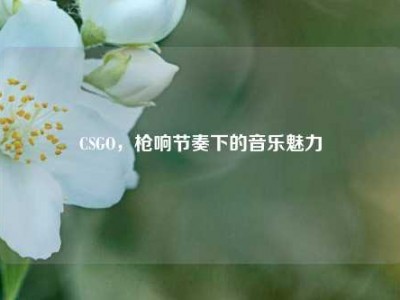 CSGO，枪响节奏下的音乐魅力
