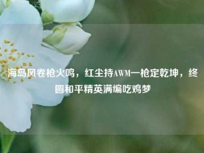 海岛风卷枪火鸣，红尘持AWM一枪定乾坤，终圆和平精英满编吃鸡梦