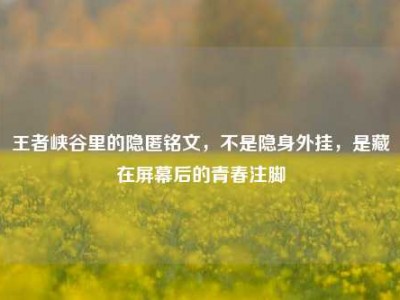 王者峡谷里的隐匿铭文，不是隐身外挂，是藏在屏幕后的青春注脚