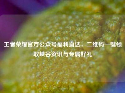 王者荣耀官方公众号福利直达，二维码一键领取峡谷资讯与专属好礼