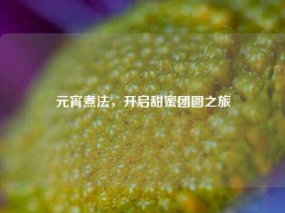 元宵煮法，开启甜蜜团圆之旅