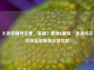王者荣耀并无曹惇英雄？曹操&夏侯惇混淆纠正及双英雄最强出装攻略