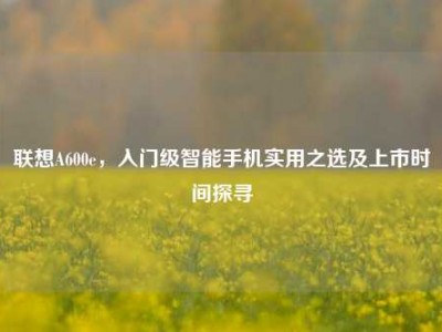 联想A600e，入门级智能手机实用之选及上市时间探寻