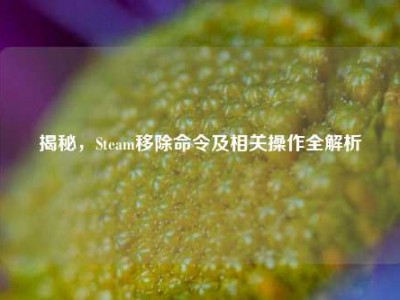 揭秘，Steam移除命令及相关操作全解析