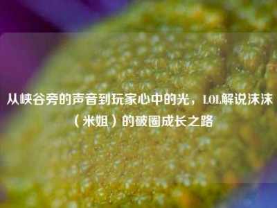 从峡谷旁的声音到玩家心中的光，LOL解说沫沫（米姐）的破圈成长之路