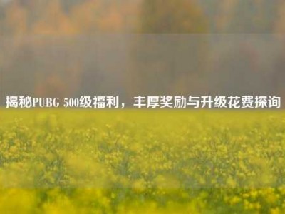 揭秘PUBG 500级福利，丰厚奖励与升级花费探询