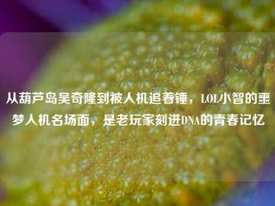 从葫芦岛吴奇隆到被人机追着锤，LOL小智的噩梦人机名场面，是老玩家刻进DNA的青春记忆