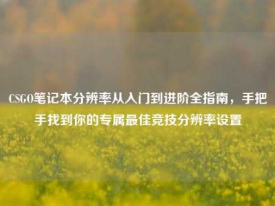 CSGO笔记本分辨率从入门到进阶全指南，手把手找到你的专属最佳竞技分辨率设置
