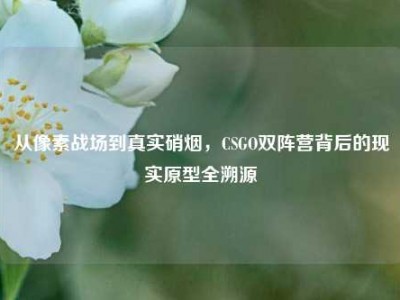 从像素战场到真实硝烟，CSGO双阵营背后的现实原型全溯源