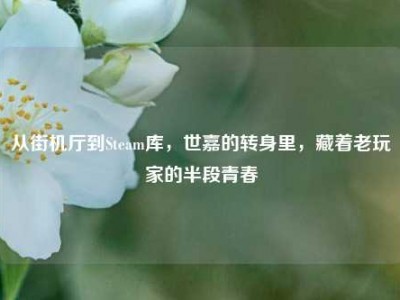从街机厅到Steam库，世嘉的转身里，藏着老玩家的半段青春