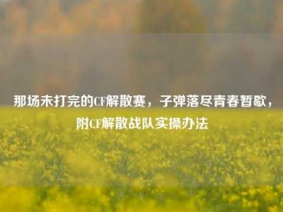 那场未打完的CF解散赛，子弹落尽青春暂歇，附CF解散战队实操办法