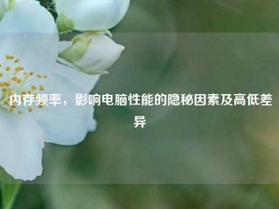 内存频率，影响电脑性能的隐秘因素及高低差异